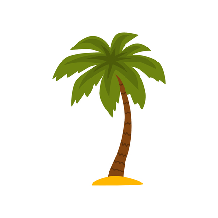 Beautiful tropical evergreen palm tree vector Illustration isolated on a white background.のイラスト素材