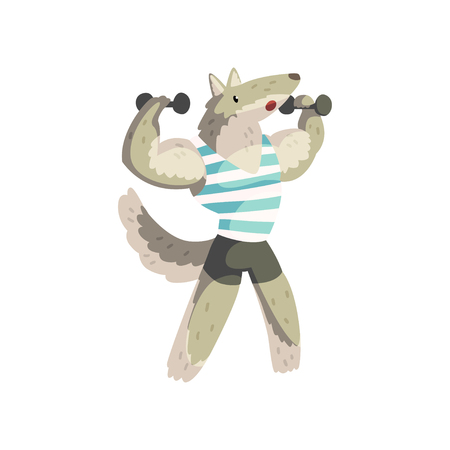 Wolf exercising with dumbbells wearing sports uniform, sportive animal character, fitness and healthy lifestyle vector Illustrations isolated on a white background.のイラスト素材