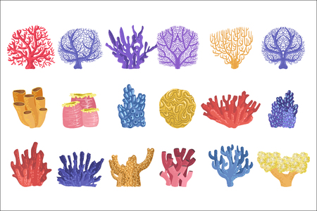 Different Types Of Tropical Reef Coral Collectionの写真素材