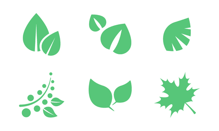 Green leaves set, parts of plants end trees of various shapes vector Illustration isolated on a white background.のイラスト素材