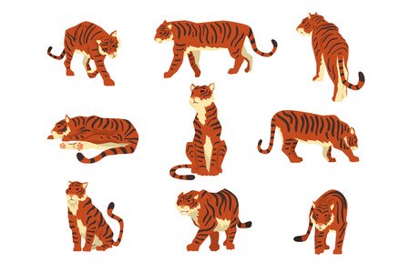 Powerful tiger in different actions set of cartoon vector Illustrations isolated on a white background.のイラスト素材