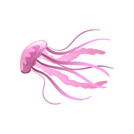 Jellyfish, Beautiful Pink Swimming Marine Underwater Creature Vector Illustration on White Background.のイラスト素材