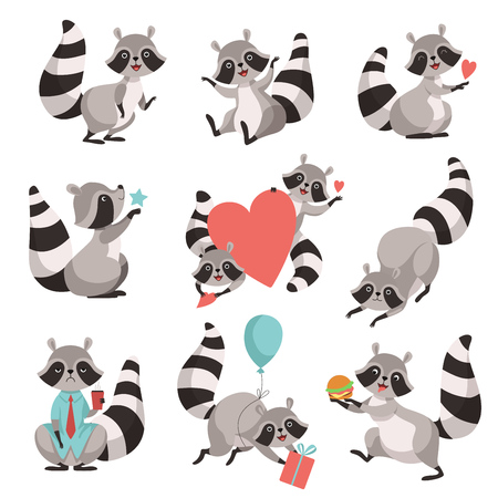 Cute Raccoon Set, Funny Animal Cartoon Character in Different Situations Vector Illustration on White Background.のイラスト素材