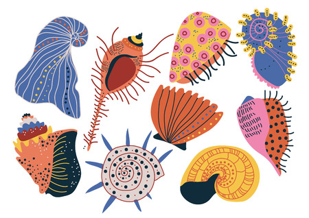 Collection of Seashells, Tropical Underwater Clams, Shells and Creatures Vector Illustration on White Background.のイラスト素材