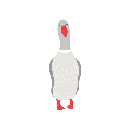 Cute White Goose Cartoon Character Front View Vector Illustration on White Background.のイラスト素材
