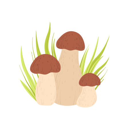 Forest Porcini Edible Mushroom and Growing Grass, Wild Organic Product Vector Illustration on White Background.のイラスト素材