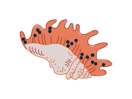 Tropical Shell, Marine Underwater Nature Aquatic Seashell Vector Illustrationのイラスト素材