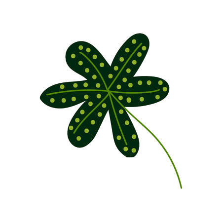 Exotic Tropical Plant Leaf, Botanical Design Element Vector Illustration on White Background.のイラスト素材