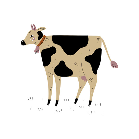 Spotted Cow, Dairy Cattle Animal Husbandry Breeding Vector Illustration on White Background.のイラスト素材