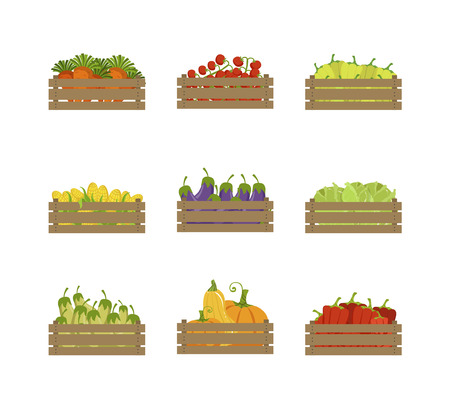 Wooden Crates with Farm Vegetables Set, Organic Food, Carrot, Tomato, Pepper, Corn, Eggplant, Farmers Market Design Element Vector Illustration on White Background.のイラスト素材