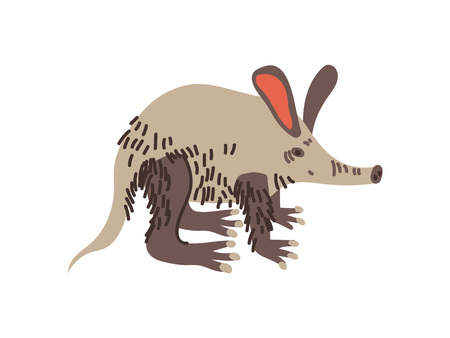 Aardvark Wild Exotic African Animal Vector Illustration on White Background.のイラスト素材