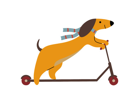 Purebred Brown Dachshund Dog Riding Kick Scooter, Funny Playful Pet Animal Cartoon Character Vector Illustrationのイラスト素材
