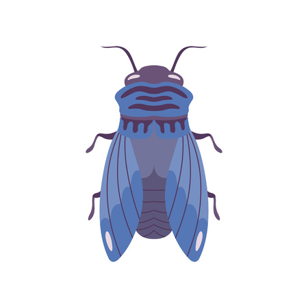 Blue Fly Insect Top View Flat Vector Illustrationのイラスト素材