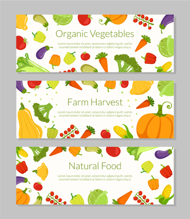 Organic Vegetables, Farm Harvest, Natural Food Banners Templates Set Colorful Vector Illustrationのイラスト素材