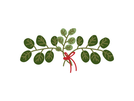 Twigs with Green Leaves Tied with Red Ribbon, Natural Design Element for Wedding Invitation, Save the Date, Greeting Card, Poster, Quote Vector Illustration on White Background.のイラスト素材