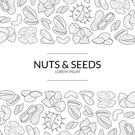Nuts and Seeds Banner Template, Natural Tasty and Healthy Organic Food Hand Vector Illustrationのイラスト素材