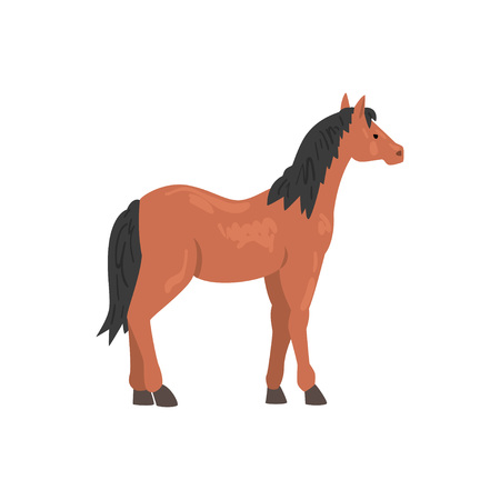 Brown Thoroughbred Horse Animal, Side View Vector Illustrationのイラスト素材