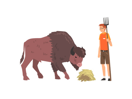 Zoo Worker Feeding Buffalo, Professional Zookeeper Character Caring of Animal Vector Illustrationのイラスト素材
