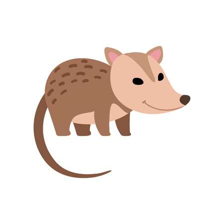 Cute Opossum Wild Animal Side View Vector Illustrationのイラスト素材