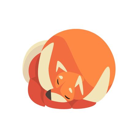 Cute Sleeping Pomeranian Spitz, Adorable Pet Dog Cartoon Character Vector Illustrationのイラスト素材