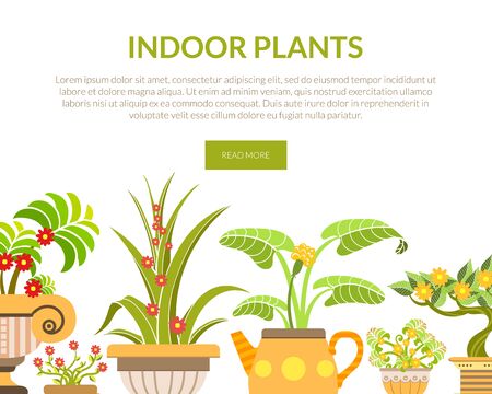 Indoor Plants Banner, Landing Page Template, Blooming House Plants in Flower Pots Vector Illustrationのイラスト素材