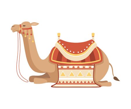 Lying Camel, Two Humped Desert Animal with Bridle and Saddle Decorated with Ethnic Ornament Vector Illustration on White Background.のイラスト素材