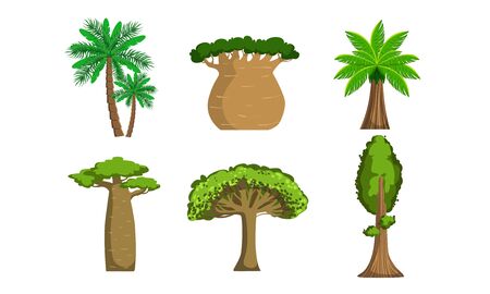 Jungle Trees and Palms Set, Tropical Forest Plants Vector Illustrationのイラスト素材