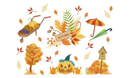 Autumn Season Objects Collection, Autumnal Design Elements, Wheelbarrow with Vegetables, Halloween Pumpkin, Colorful Tree Leaves, Umbrella Vector Illustrationのイラスト素材