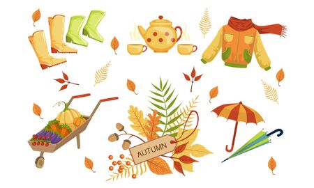 Autumn Season Objects Collection, Autumnal Design Elements, Rubber Boots, Jacket, Wheelbarrow with Vegetables, Colorful Tree Leaves, Umbrella Vector Illustrationのイラスト素材