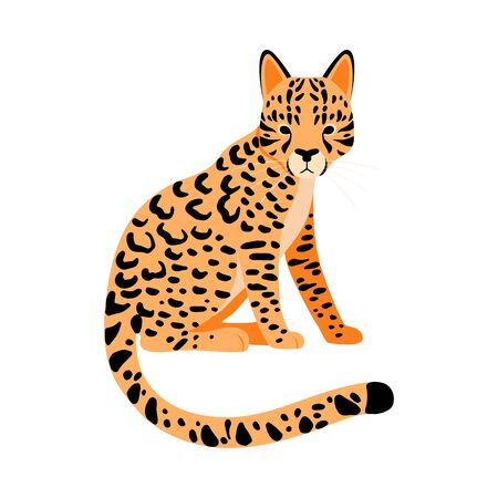 Orange Cheetah. Vector illustration on a white background.のイラスト素材