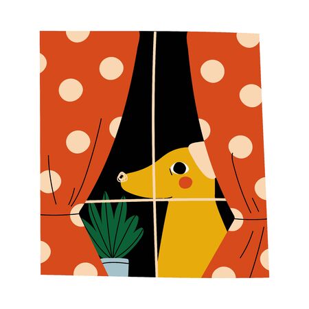 Yellow dog is sitting on the window with orange draped curtains and plant cartoon vector illustration on a white backgroundのイラスト素材