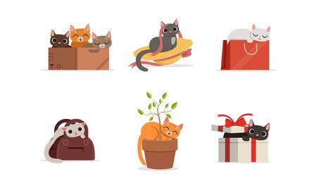 Different Domestic Cats Hiding and Resting in Various Places Vector Setのイラスト素材