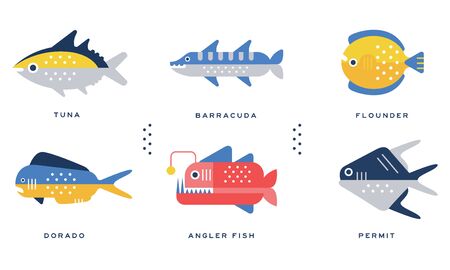 Sea and Ocean Fishes Collection, Tuna, Barracuda, Flounder, Dorado, Angler Fish, Permit Vector Illustrationのイラスト素材