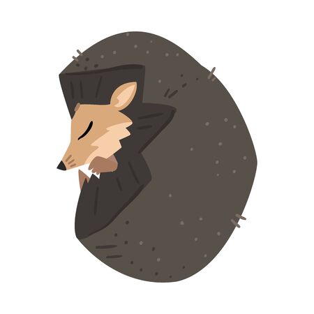 Adorable Sleeping Hedgehog, Lovely Wild Forest Animal Cartoon Character Vector Illustrationのイラスト素材