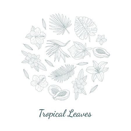 Tropical Leaves and Flowers of Round Shape Hand Drawn Vector Illustrationのイラスト素材