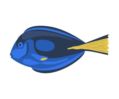 Regal Tang Fish, Marine Life Element, Sea or Ocean Creature Vector Illustrationのイラスト素材