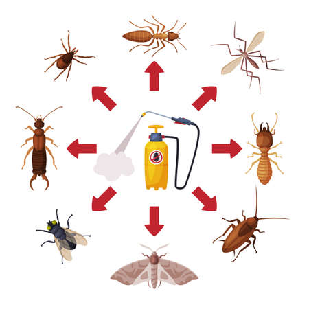 Pest Control Service, Pressure Sprayer of Chemical Insecticide and Harmful Insects Vector Illustrationのイラスト素材