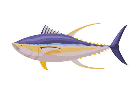Yellowfin tuna Fresh Aquatic Sea Fish Species Cartoon Vector Illustration