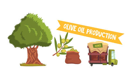 Olive Oil Production Process Set, Harvesting Olives and Delivery Cartoon Style Vector Illustrationのイラスト素材