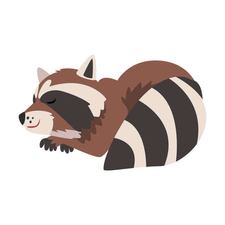 Cute Sleeping Raccoon, Adorable Wild Forest Animal Cartoon Character Vector Illustrationのイラスト素材
