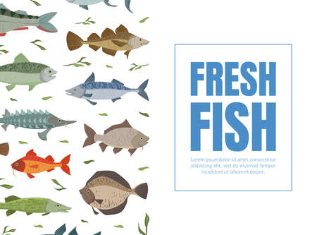 Fresh Fish Banner Template, Seafood Market, Menu, Packaging Design, River and Marine Fishes Seamless Pattern Flat Vector Illustrationのイラスト素材