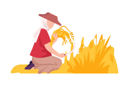 Asian Female Farmer with Hook Reaping Ear of Wheat Vector Illustrationのイラスト素材