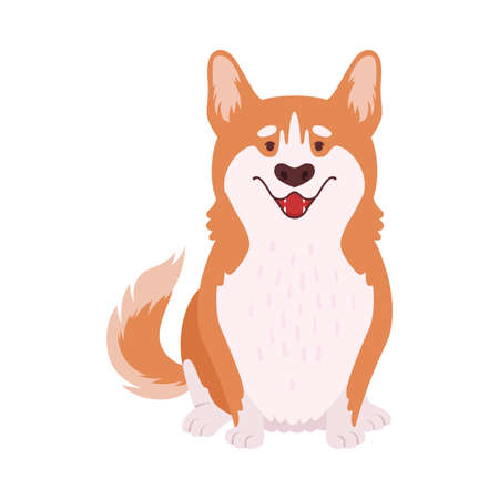 Short-legged Welsh Corgi with Brown Coat in Sitting Pose Vector Illustrationのイラスト素材