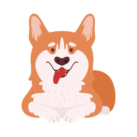 Short-legged Welsh Corgi with Brown Coat in Sitting Pose Vector Illustrationのイラスト素材