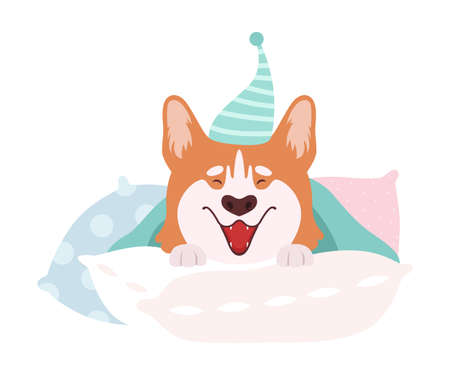 Welsh Corgi Sitting on Soft Pillows in Night Cap Vector Illustrationのイラスト素材