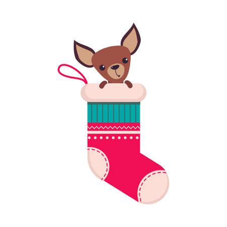 Funny Small Dog Sitting in Sock, Symbol of Xmas and New Year, Happy Winter Holidays Concept Cartoon Style Vector Illustrationのイラスト素材