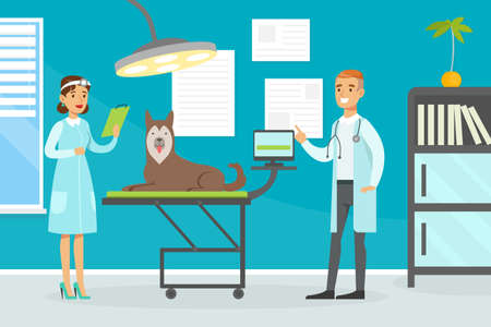 Veterinary Clinic Medical Specialists Examining and Treating Dog, Pets Healthcare, Medical Treatment, Prevention and Immunization Vector Illustrationのイラスト素材