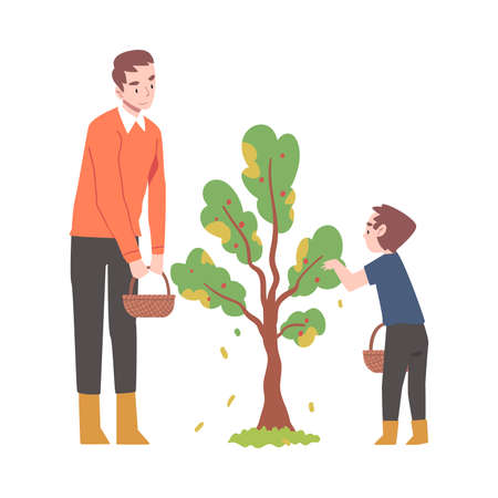 Young Man with Kid Picking Apples from Fruit Tree Vector Illustrationのイラスト素材