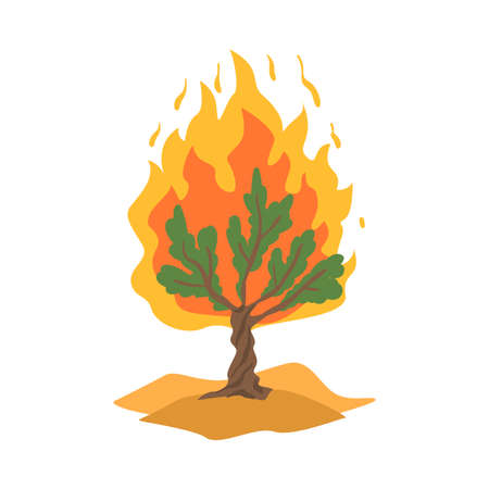 Burning Bush not Consuming by Flames as Narrative from Bible Vector Illustrationのイラスト素材