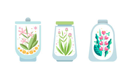 Blooming Flowers with Green Leaves inside Glass Florarium Set, Terrarium with Plants, Nature Conservation Concept Cartoon Vector Illustrationのイラスト素材
